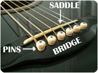bridge, saddle and pins